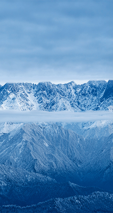 关于0033990威尼斯